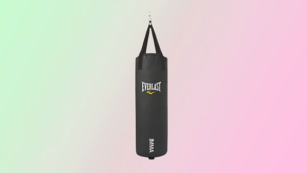 Everlast 100磅重袋，手套和固定价值捆绑包