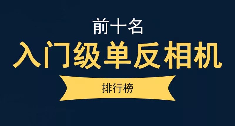 入门级单反相机排行榜前十名（性价比高的入门级单反相机推荐）